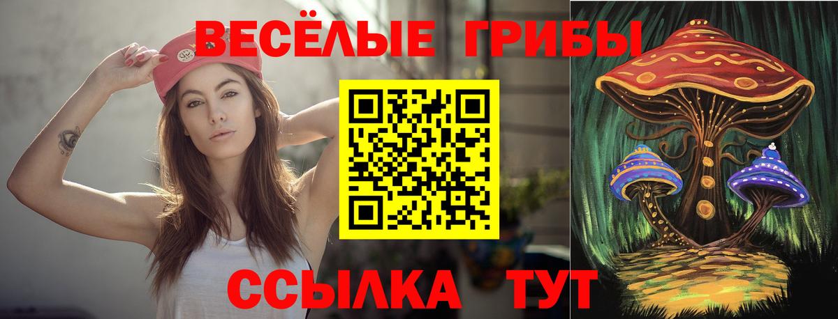 Псилоцибиновые грибы Psilocybine cubensis  Псилоцибиновые грибы мицелий  Вход с VPN  Мариинск 